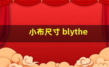 小布尺寸 blythe